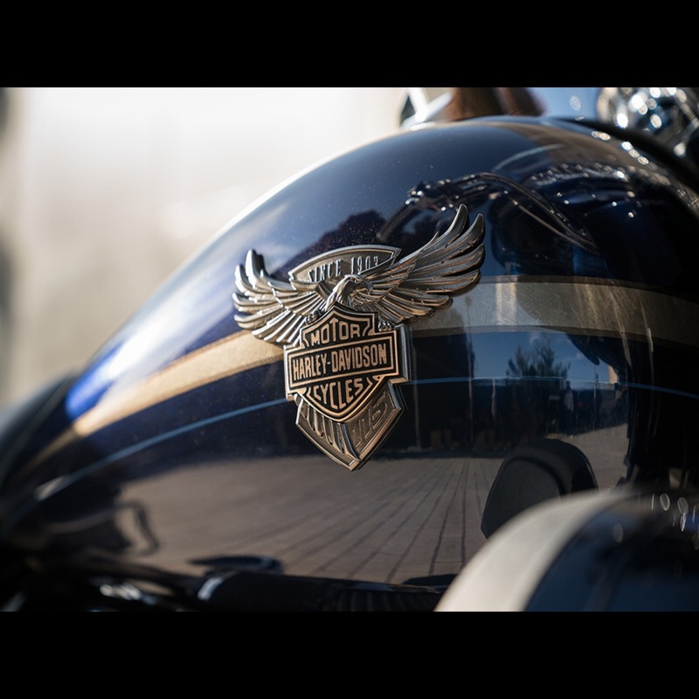 Meet your Posher, Danny